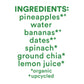 Pineapple Spinach Squeezable Smoothie